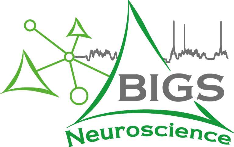 BIGS Neurosciences