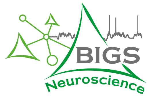 BIGS Logo